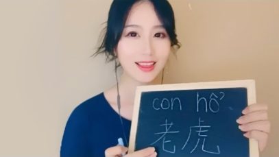 *ASMR* Learn 12 Zodiac Animals in Chinese and Vietnamese