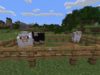 ASMR | Let there be sheep! ?| Minecraft Ep. 6