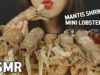 ASMR MANTIS SHRIMP, MUD LOBSTER??? 갯가재먹방(EATING SOUNDS)MUKBANG