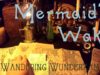 [ASMR] Mermaid’s Wake at the Wandering Wunderkammer (whispering, water sounds)