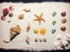 ASMR Mini Beach Scene