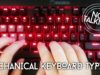 ASMR | More Mechanical Keyboard Typing & Sounds [NO TALKING]
