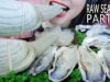 ASMR MOST POPULAR RAW SEAFOOD ON MY CHANNEL PART 02 GEODUCK MIYAGI OYSTER JELLYFISH | LINH-ASMR