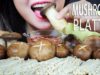 ASMR MUKBANG GIANT MUSHROOM PLATTER OYSTER MUSHROOM BUTTON MUSHROOM SHIITAKE MUSHROOM | LINH-ASMR 먹방