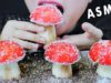 ASMR MUSHROOM SHAPED CAKES EDIBLE SOIL CRUNCHY SOFT EATING SOUNDS | LINH-ASMR