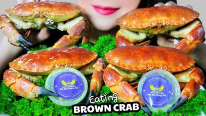 ASMR NORTHERLY SEA BASIN BROWN CRAB EATING SOUNDS | LINH-ASMR