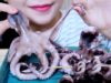 ASMR Octopus Family (Savage EATING SOUNDS) No talking | LINH-ASMR