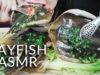 ASMR OIL-BASTED RAY FISH (SKATE,STINGRAY FISH)WITH VEGETABLE CRUNCHY CHEWY EATING SOUNDS | LINH-ASMR