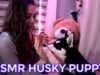 ASMR Playing with my Husky Puppy!