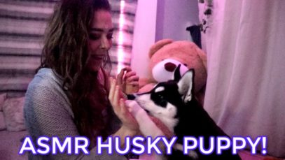 ASMR Playing with my Husky Puppy!
