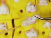 ASMR Plucking Mouse?? Who moved my cheese?