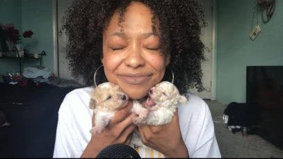 ASMR | PUPDATE ?❤️ (Puppy Update)