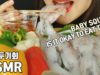 ASMR RAW BABY SQUID? BABY OCTOPUS?꼴뚜기회, 호래기  (EATING SOUNDS)MUKBANG No Talking