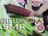 ASMR RAW PURPLE CORN QUEEN CORN CRUNCHY EATING SOUNDS | LINH-ASMR