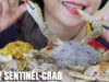 ASMR RAW SENTINEL CRAB SOAKED IN THAI STYLE FISH SAUCE , EATING SOUNDS | LINH-ASMR