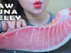 ASMR RAW TUNA BELLY (OTORO SASHIMI+SUSHI) WITH JAPANESE MILK TEA , SOFT EATING SOUNDS | LINH-ASMR