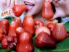 ASMR Rose Apple (An Phuoc Plums) Satisfying Eating Sounds | LINH-ASMR