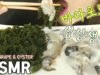 ASMR SEA GRAPE & OYSTER 바다포도와생굴먹방 (EATING SOUNDS) MUKBANG