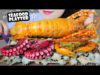 ASMR SEAFOOD PLATTER ( LOBSTER X CRAB X OCTOPUS X SNAIL ) EATING SOUND | LINH-ASMR