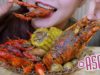 ASMR Seafood with black pepper sauce (painted spiny lobster, crawfish) EATING SOUNDS | LINH-ASMR