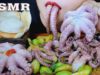ASMR SOAKED OCTOPUS WITH GREEN MANGO AND AMBARELLA SALLAD CRUNCHY EATING SOUNDS | LINH-ASMR