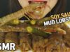 ASMR SOY SAUCE RAW MUD LOBSTER?? RAW SHRIMP??? 갯가재장, 쏙, 쏙장(EATING SOUNDS)MUKBANG