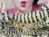 ASMR SPECKLED MANTIS SHRIMPS EXOTIC FOOD  EATING SOUNDS  | LINH-ASMR mukbang linhasmr 먹방