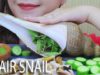 ASMR STAIR SNAIL – THE MOST EXPENSIVE KIND OF SNAILS (EXOTIC FOOD) EATING SOUNDS | LINH-ASMR