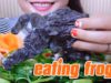 ASMR steamed frogs with calabash (exotic food) CHEWY EATING SOUNDS | LINH-ASMR