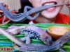 ASMR STEAMED SAND IGUANA (EXOTIC FOOD eating sounds)|LINH-ASMR