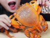ASMR STEAMED VIETNAMESE KING CRAB CRACKLING CRUNCHY EATING SOUNDS | LINH-ASMR 먹방 mukbang linhasmr