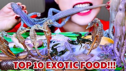 ASMR TOP 10 OF EXOTIC FOODS ON LINH ASMR CHANNEL |  LINH ASMR