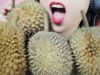 ASMR VIETNAMESE MINI DURIAN SOFT CHEWY EATING SOUNDS | LINH-ASMR
