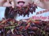 ASMR Witch Finger Grapes (CRUNCHY Eating Sounds) | LINH-ASMR