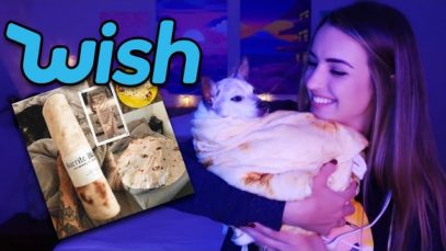 ASMR with Weird Stuff from Wish