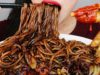 BLACK BEAN NOODLES ASMR *Jajangmyeon & Fried Dumpling* 짜장면 먹방  NO TALKING EATING SOUNDS MUKBANG
