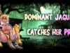 Dominant & Sexy Jaguar Catches Her Prey | – [Lewd ASMR] –