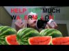 Eating In Your Ears [WATERMELON] [ASMR]