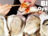 GIANT OYSTER ASMR *Cherry blossom oyster* MUKBANG NO TALKING + 섬진강 벚굴 먹방 리얼사운드
