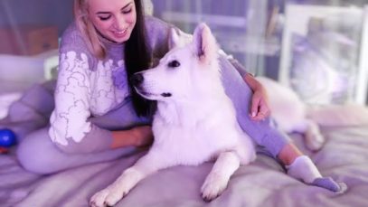 Gibi ASMR | vibing with my dog (all about my Swiss Shepherd!)