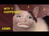 HOW I TURNED INTO A CAT – MEOW MEOW Cat – Super Wet Mouth Sounds and Lip Sounds – ASMR Role Play