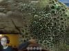 Let’s Play Subnautica Live