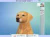 Live ASMR | Sims 4 Cats & Dogs! Making Leia ❤