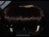 【MT的ASMR】 Let’s Get Your Hair Done with Sissors and Electrical Clipper