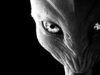 SCP Foundation Alien Roleplay