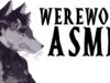 Werewolf Boy Won’t Let You Go ASMR Roleplay (Werewolf ASMR Roleplay) (Gender Neutral)