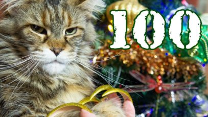 100 ASMR TRIGGERS FOR SLEEP NEW YEAR & FUNNY CAT