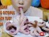 Ăn bạch tuộc quá đã , Eating octopus , eating sound , Mukbang | LINH-ASMR