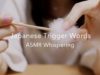 [ASMR] 日本語オノマトペを耳元で囁く#1 Japanese Trigger Words, Ear to Ear Whispering, Hand Movement