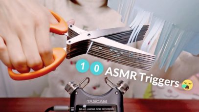 [ASMR] 10 ASMR Triggers For Sleep & Relaxing / No Talking / DR-40